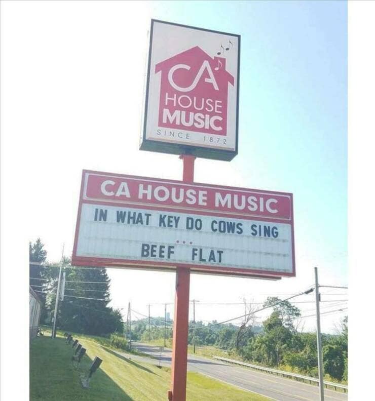 funny memes. IN WHAT KEY DO COWS SING BEEF FLAT