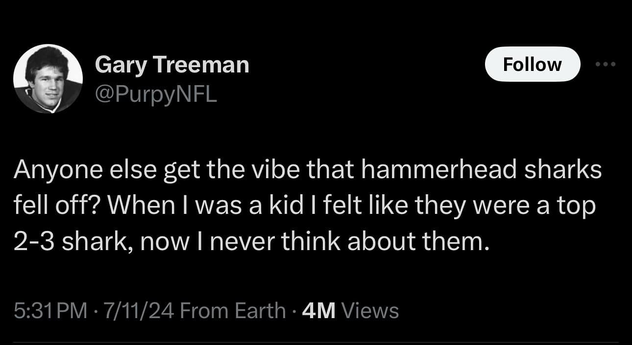 funny pics. Anyone else get the vibe that hammerhead sharks fell off? When I was a kid I felt like they were a top 2-3 shark, now I never think about them.