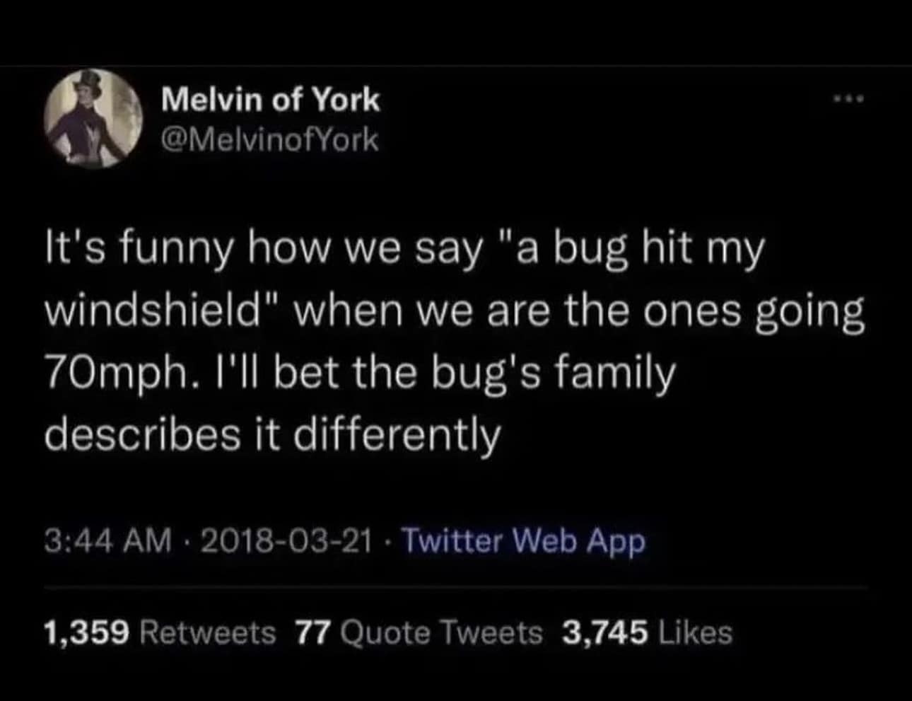 funny pics. It's funny how we say "a bug hit my windshield" when we are the ones going 70mph. I'll bet the bug's family describes it differently