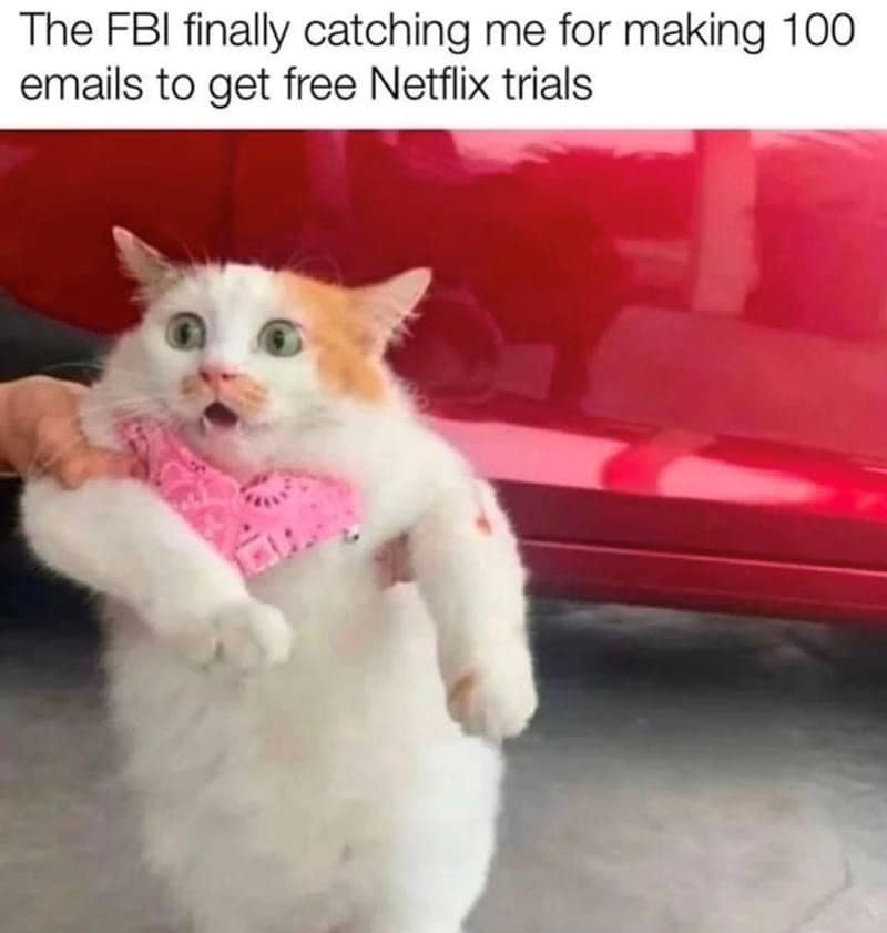 funny pics. The FBI finally catching me for making 100 emails to get free Netflix trials