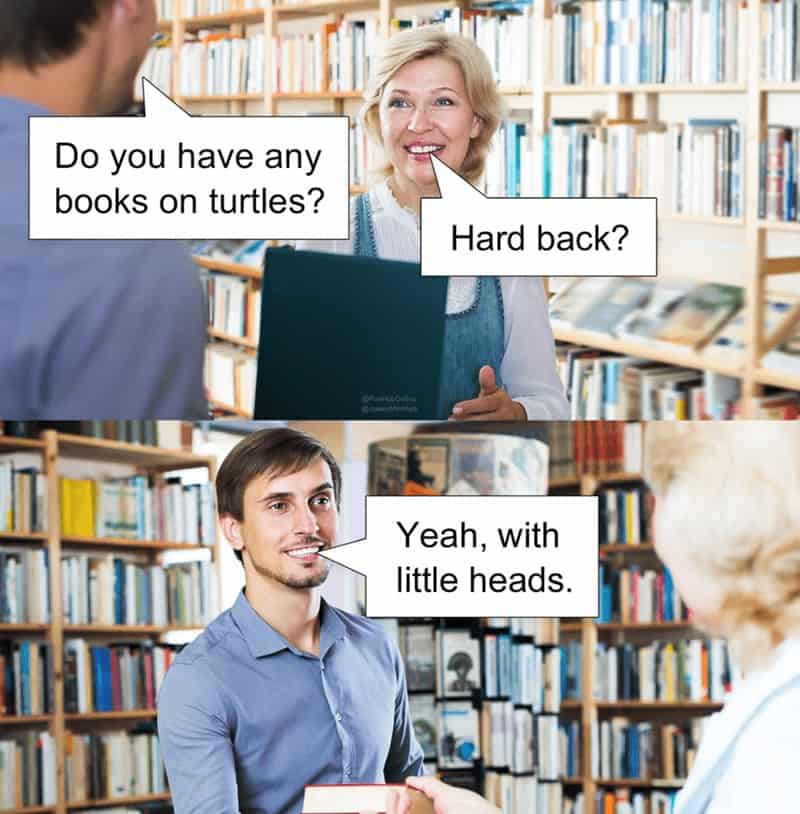 funny puns, punny memes, humorous puns, witty jokes, clever wordplay