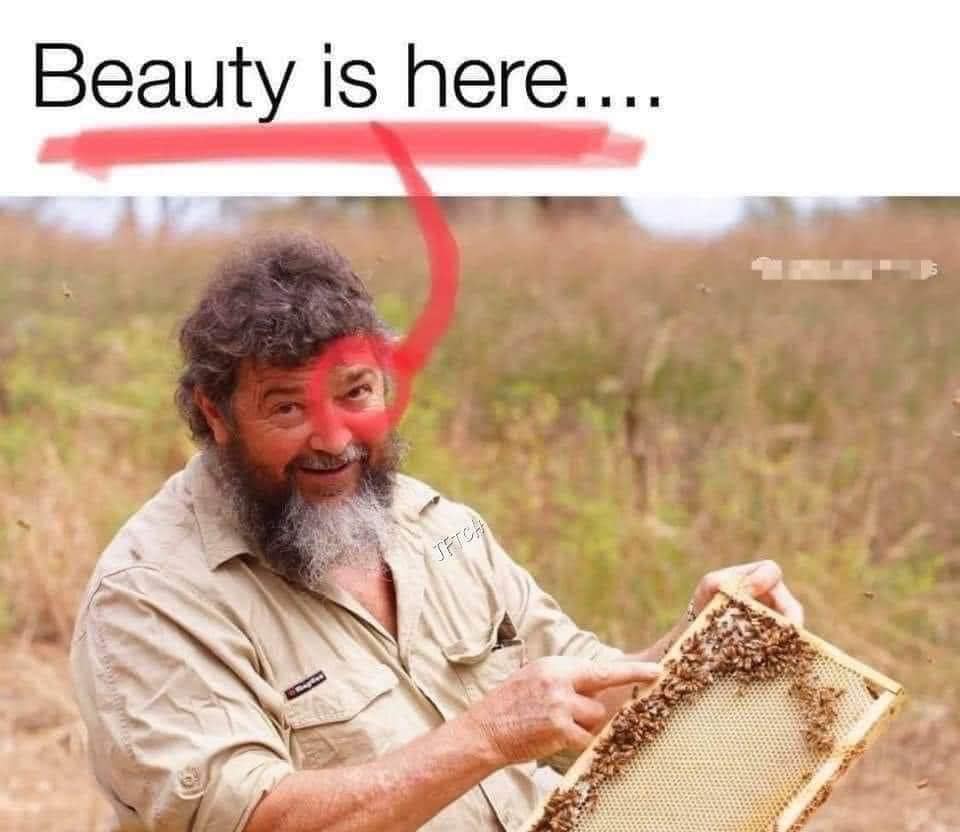 funny puns, punny memes, bad puns, Puns, Wordplay, terribly puns, dad jokes