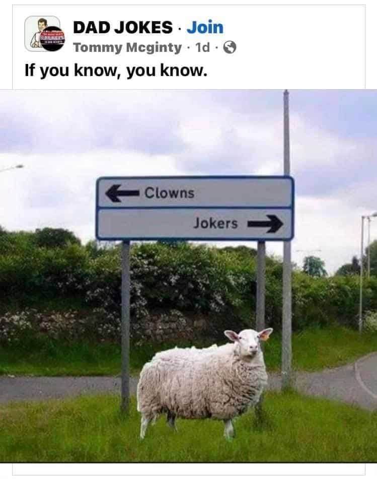 funny puns, punny memes, humorous puns, witty jokes, clever wordplay