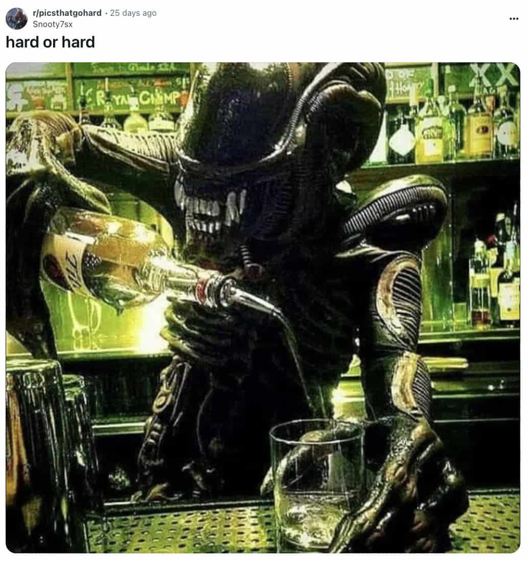 funny reddit posts, funny reddits, Hilarious Reddit content, Weird Reddit, Reddit finds