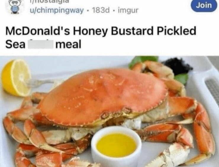 funny reddit posts, funny reddits, Hilarious Reddit content, Weird Reddit, Reddit finds