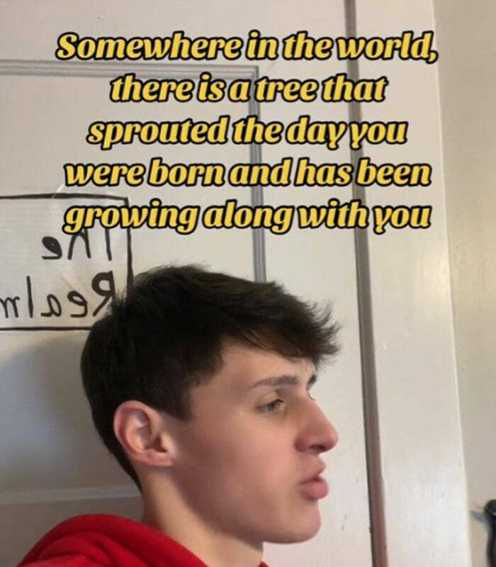 Somewhere in the world, there is a tree that sprouted the day you were born and has been growing along with you