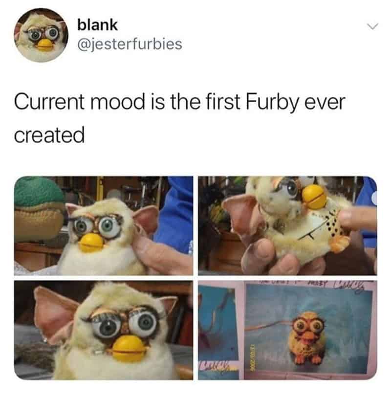 furby memes. Current mood is the first Furby ever created