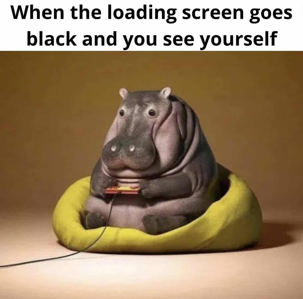 gamer memes, gaming memes, Funny Gaming Memes, Video Game Humor, Online Gaming Culture, Gaming Jokes, Hilarious Streamer Fails, Dank Video Game References