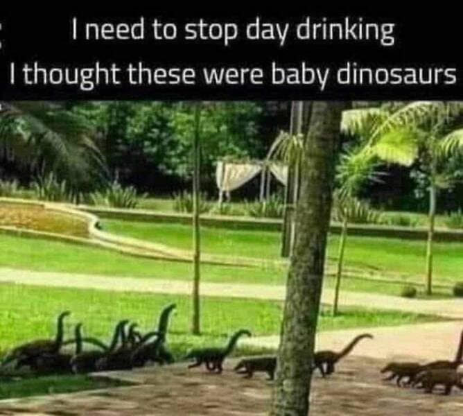 good dad joke. I need to stop day drinking I thought these were baby dinosaurs