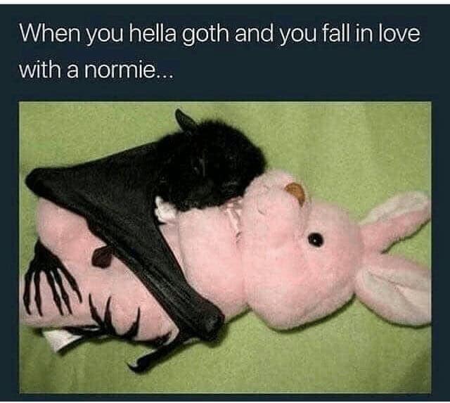 goth memes, emo memes, Goth humor, Emo aesthetic, Dark memes