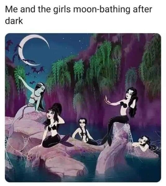 Goth Deviantart Meme Goth Memes: 35 Memes For Everyone With a Dark Aesthetic