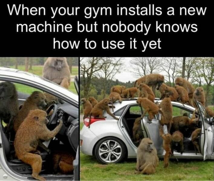 gym memes, workout memes, fitness humor, gym jokes, exercise laughter, exercise memes, fitness funnies, workout humor