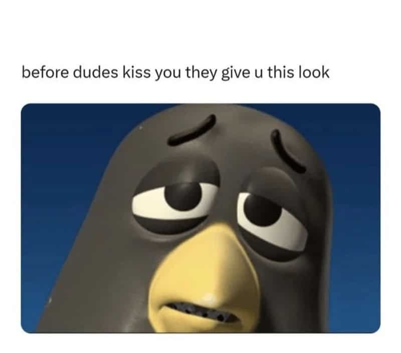 healthy relationship memes. before dudes kiss you they give u this look