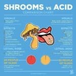 Interesting Charts: 35 Fun and Funny Infographics