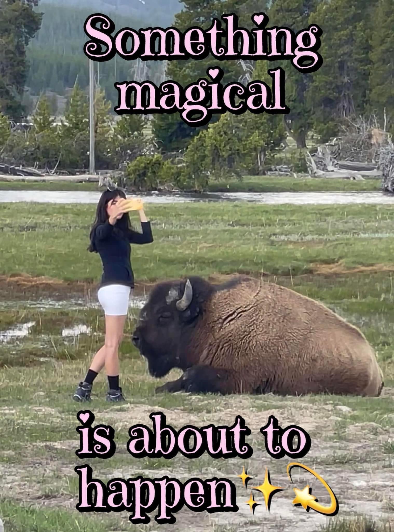 meme dump, funny memes, hilarious memes