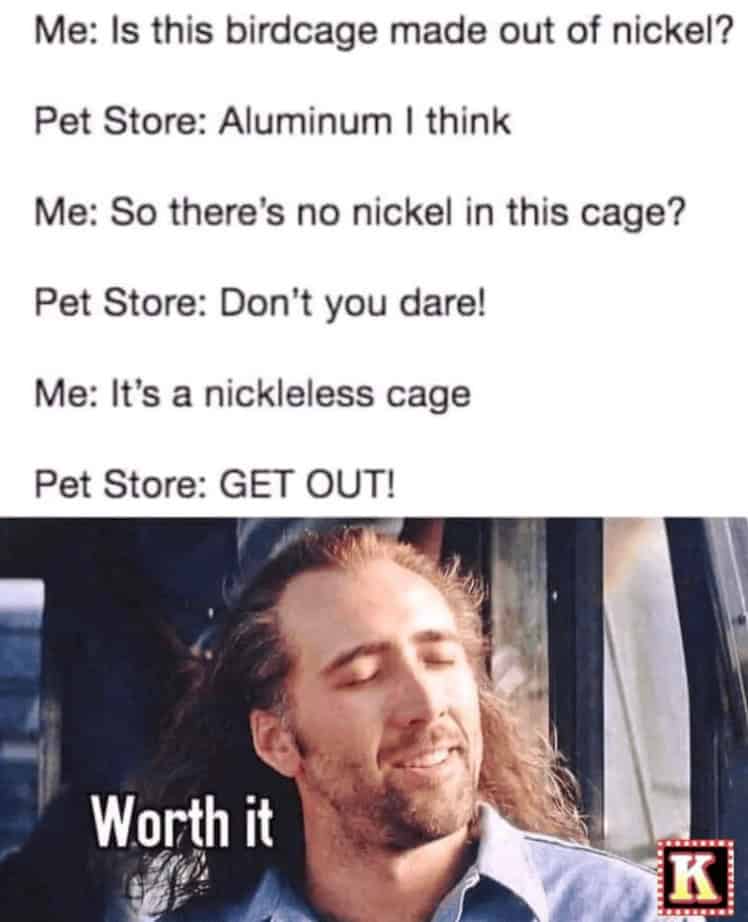 Nicholas cage memes. Me: Is this birdcage made out of nickel? Pet Store: Aluminum I think Me: So there's no nickel in this cage? Pet Store: Don't you dare! Me: It's a nickleless cage Pet Store: GET OUT!