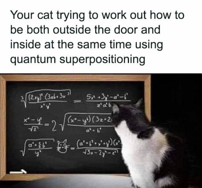 science memes, Scientific Humor, lab humor, research humor, Funny Science Facts, entertaining science facts, amusing science discoveries, STEM Jokes, science, technology, engineering, and mathematics jokes