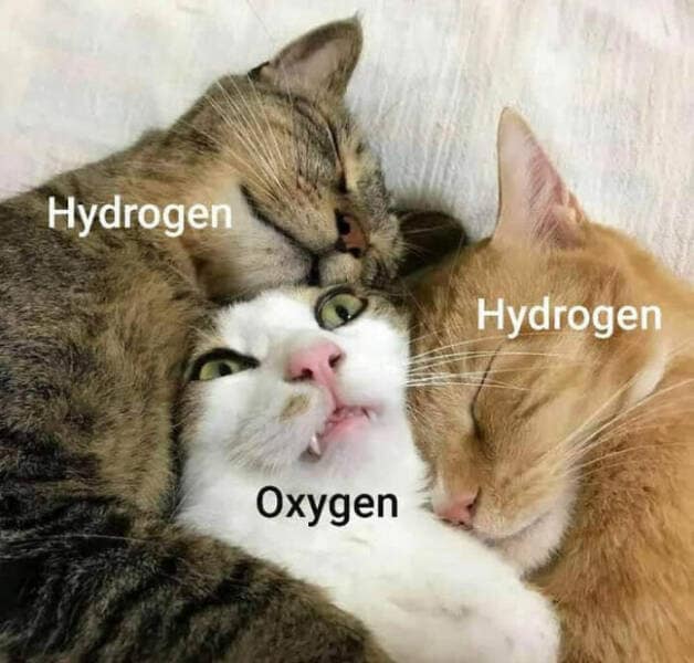 science memes, Scientific Humor, lab humor, research humor, Funny Science Facts, entertaining science facts, amusing science discoveries, STEM Jokes, science, technology, engineering, and mathematics jokes