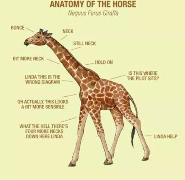 science memes, Scientific Humor, lab humor, research humor, Funny Science Facts, entertaining science facts, amusing science discoveries, STEM Jokes, science, technology, engineering, and mathematics jokes