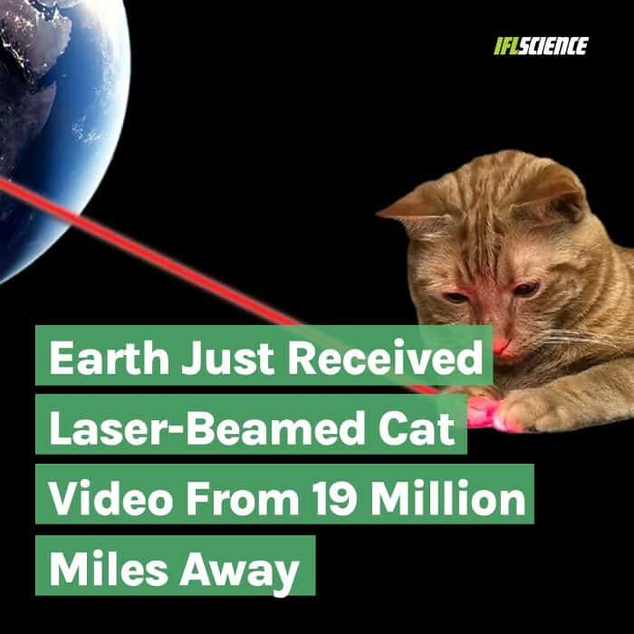 science memes, Funny Science Stuff, Hilarious Lab Antics, Scientific Humor, Nerdy Laboratory Jokes, Science Jokes and Puns, Researcher Riddles