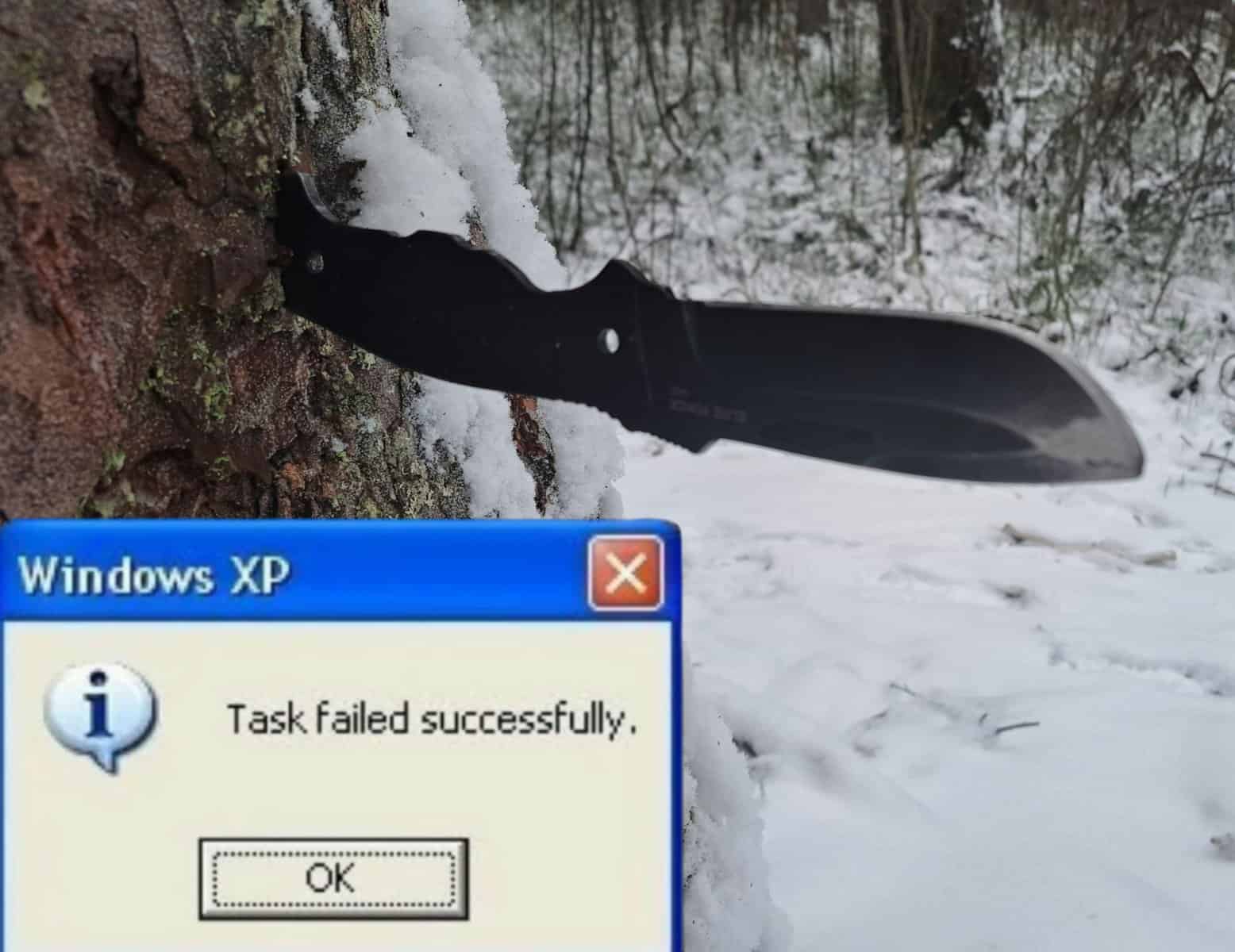 task failed successfully, Happy Accidents, Unexpected Wins, Fortunate Mishaps, Comical Blunders, Unintended Triumphs