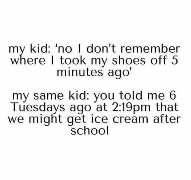 toddler memes. ny kid: 'no I don't remember where I took my shoes off 5 minutes ago' my same kid: you told me 6 Tuesdays ago at 2:19pm that we might get ice cream after school