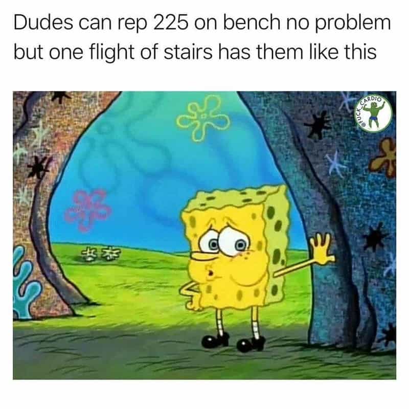 workout memes, gym memes, fitness humor, gym jokes, exercise laughter, exercise memes, fitness funnies, workout humor