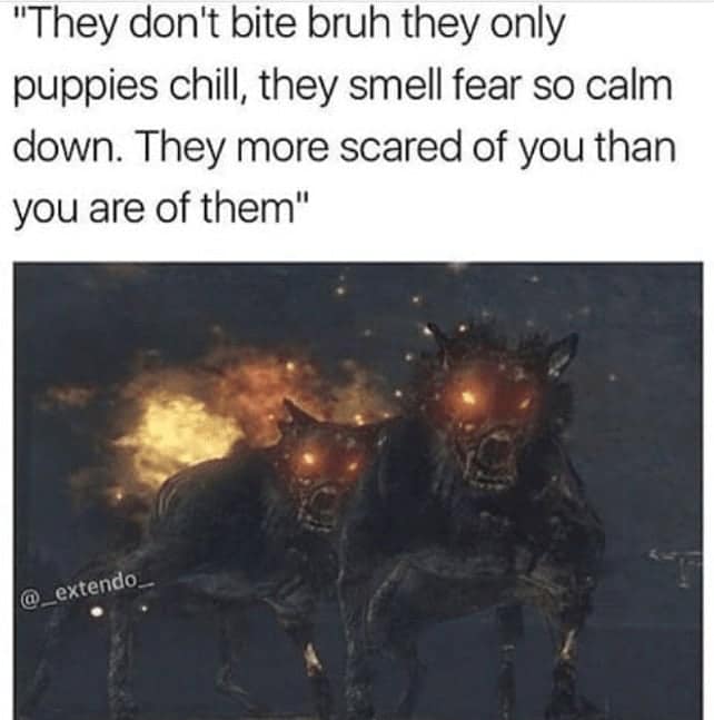 "They don't bite bruh they only puppies chill, they smell fear so calm down. They more scared of you than you are of them"