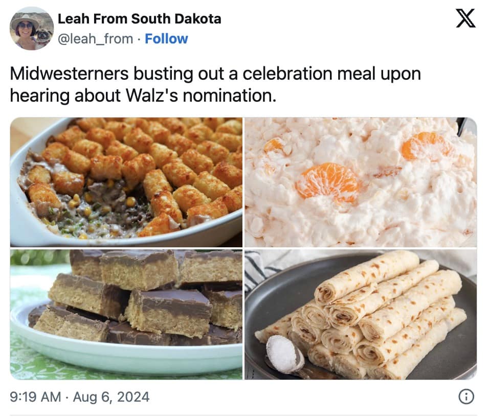 Tim Walz Memes, Tim Walz reactions, Midwest Princess memes, Big dad energy memes