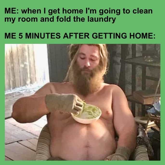 adulting memes, chores memes