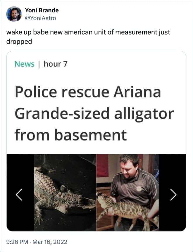 Police rescue Ariana Grande-sized alligator from basement