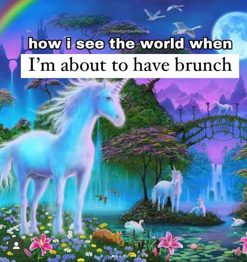 brunch memes, breakfast memes, Funny brunch quotes, Weekend memes, Foodie humor