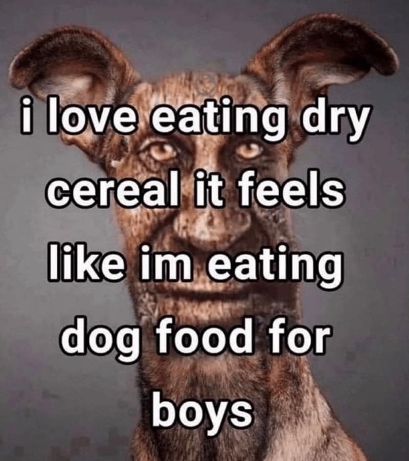cereal memes, Breakfast memes, Funny cereal jokes