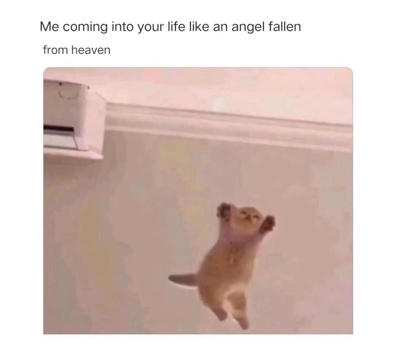 classic memes, viral tweets, vintage memes, funny memes from the past, internet history, timeless memes, legendary tweets, internet hall of fame