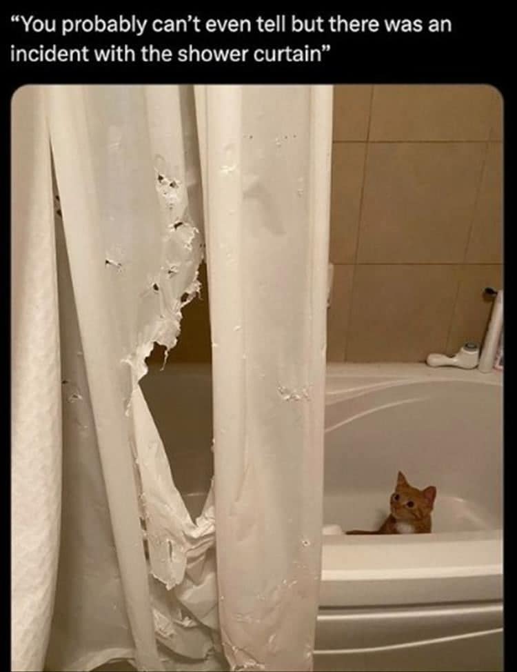 classic memes, vintage memes, viral tweets, Meme History, Viral Trends, Nostalgic Content, Iconic Memes, old memes