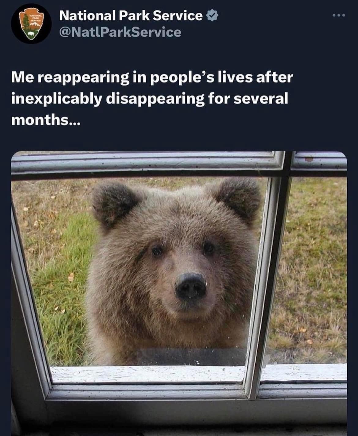 classic memes, vintage memes, viral tweets, Funny Throwback Memes, Iconic Viral Tweets, Nostalgic Internet Moments, Timeless Memes