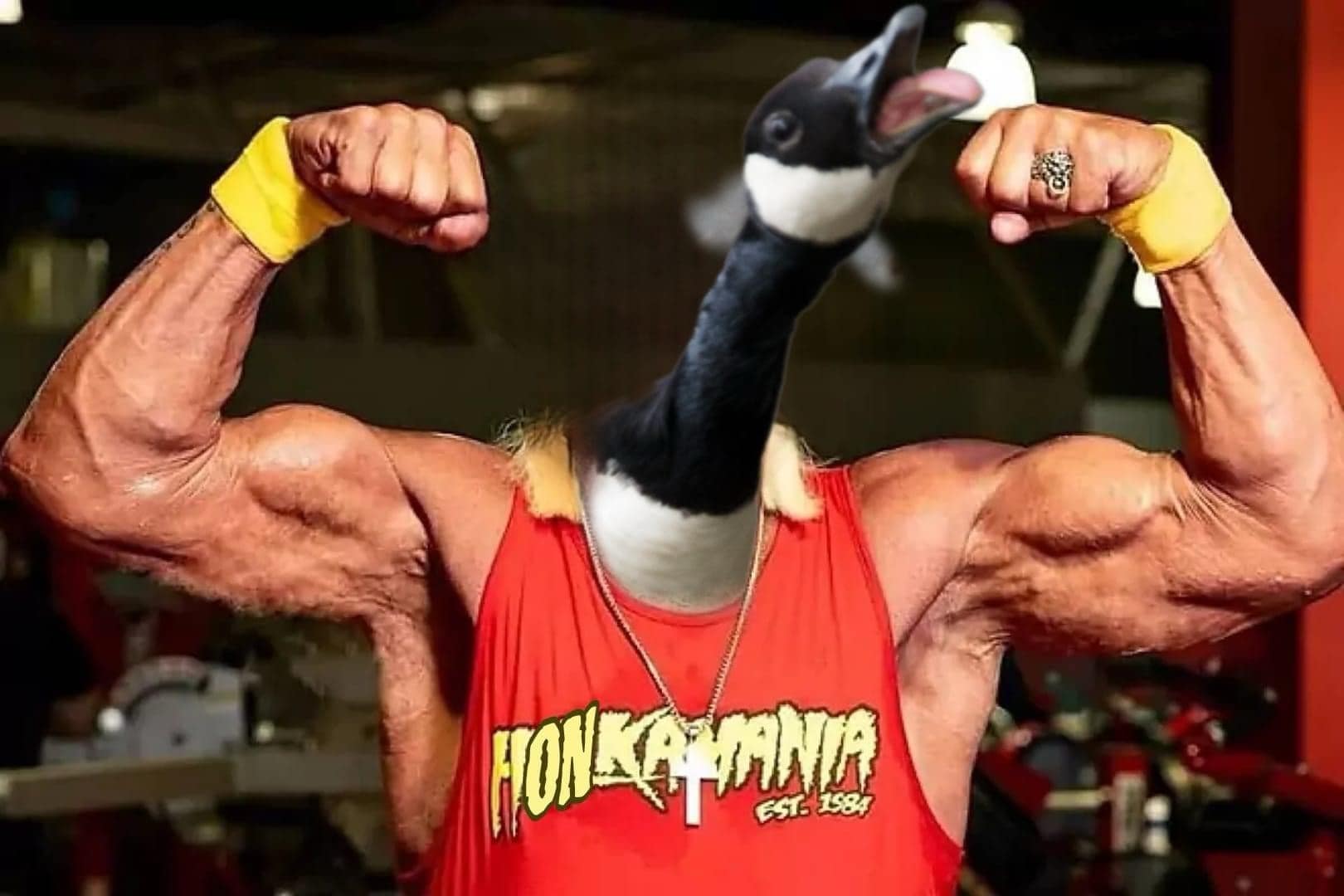 classic memes, vintage memes, viral tweets, Vintage internet humor, timeless meme collection, iconic internet memes, Retro memes, digital nostalgia, internet meme classics