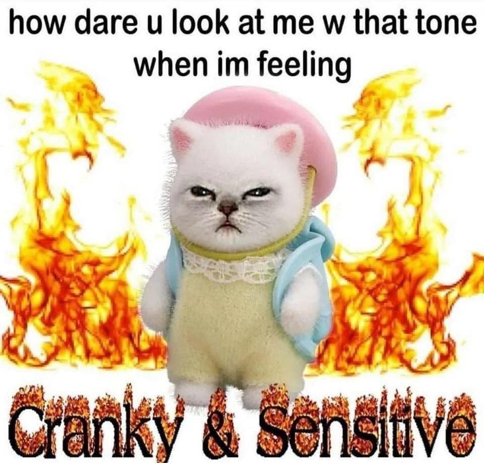 classic memes, vintage memes, viral tweets, Vintage internet humor, timeless meme collection, iconic internet memes, Retro memes, digital nostalgia, internet meme classics