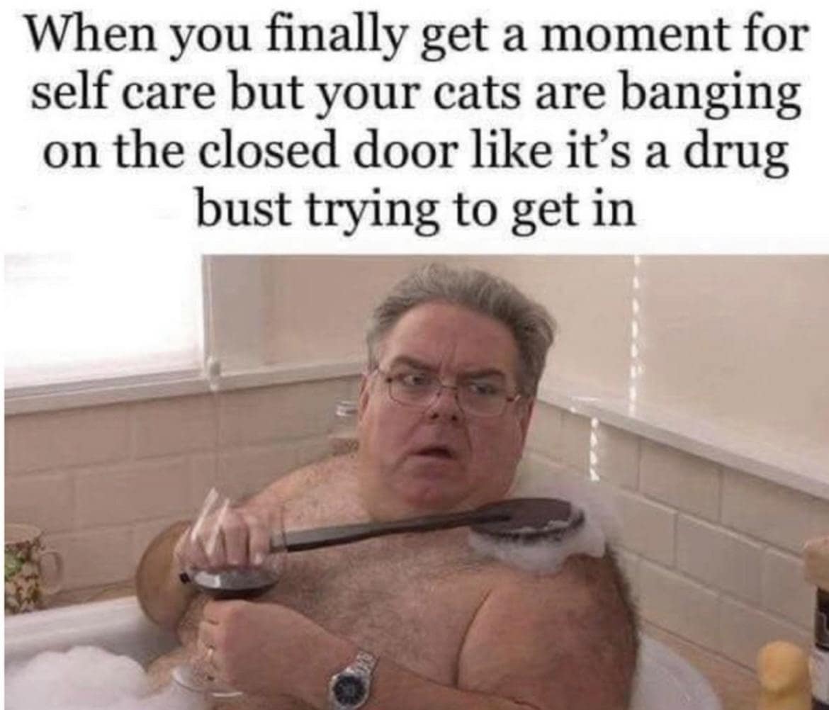 classic memes, vintage memes, viral tweets, Funny Throwback Memes, Iconic Viral Tweets, Nostalgic Internet Moments, Timeless Memes