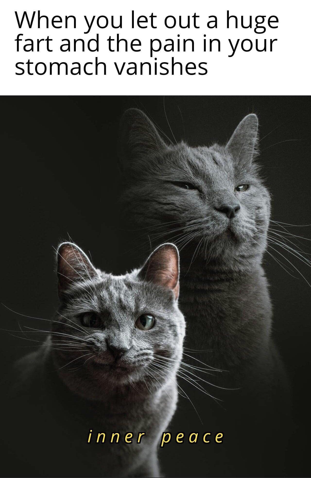 classic memes, vintage memes, viral tweets