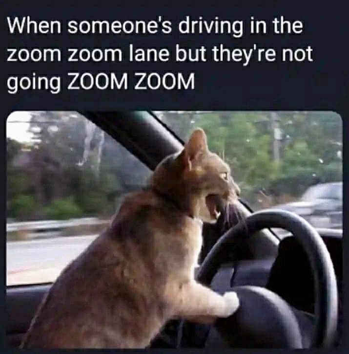 classic memes, vintage memes, viral tweets