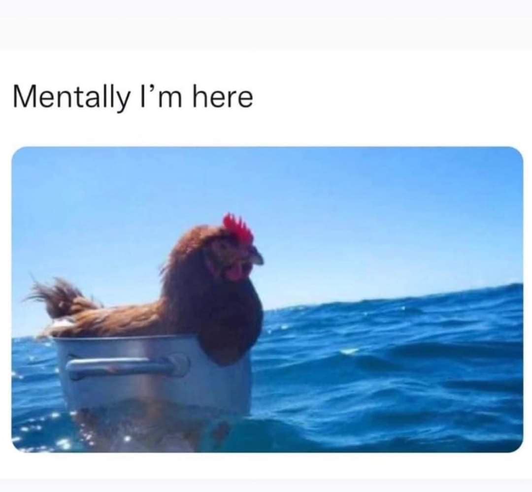 classic memes, vintage memes, viral tweets, Funny Throwback Memes, Iconic Viral Tweets, Nostalgic Internet Moments, Timeless Memes