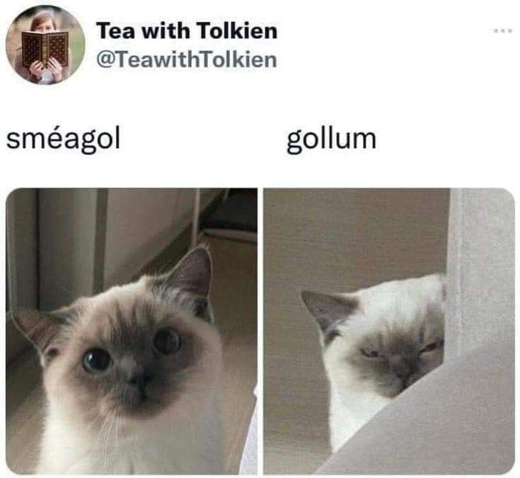 classic memes, vintage memes, viral tweets, funny internet content, Hilarious social media posts, Timeless memes, old memes