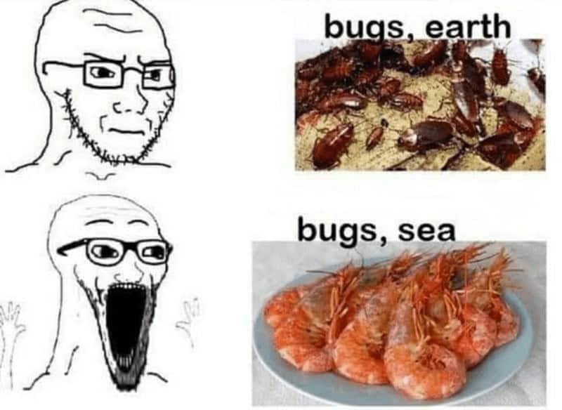 cooking memes. bugs, earth bugs, sea