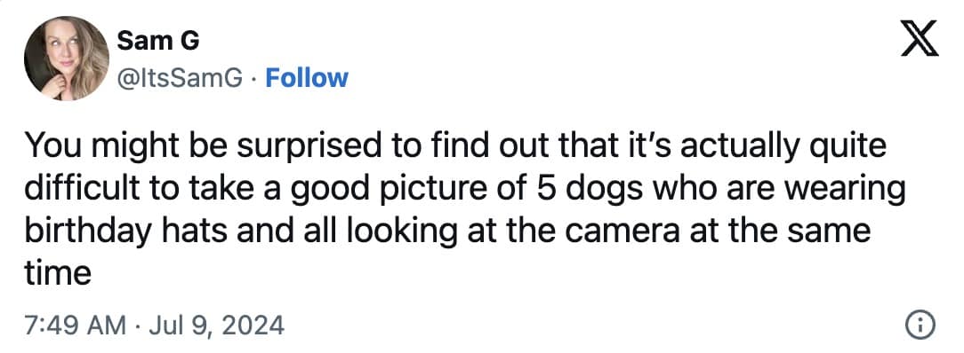 dog memes, dog tweets, doggy memes, pup humor, canine comedy