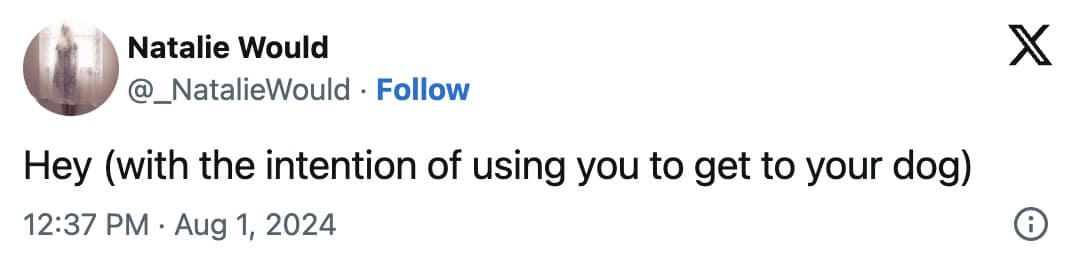 dog memes, dog tweets, doggy memes, pup humor, canine comedy