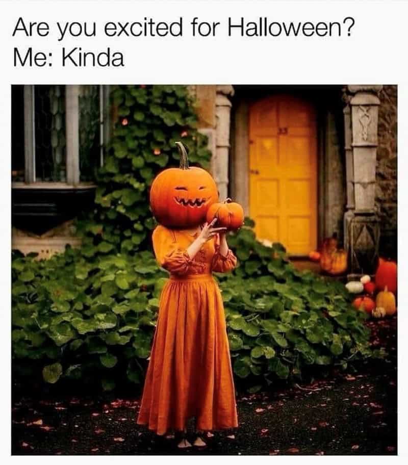 fall memes, autumn memes, end of summer memes