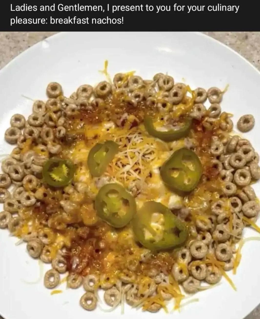 food memes, culinary humor, cooking jokes, food obsession, cuisine memes, gastronomic gags, dieting humor