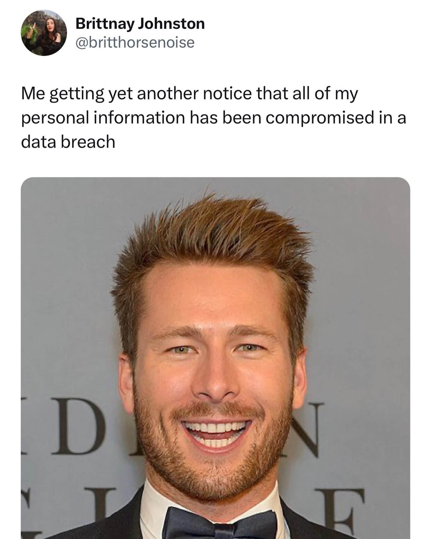 funny memes. Me getting yet another notice that all of my personal information has been compromised in a data breach