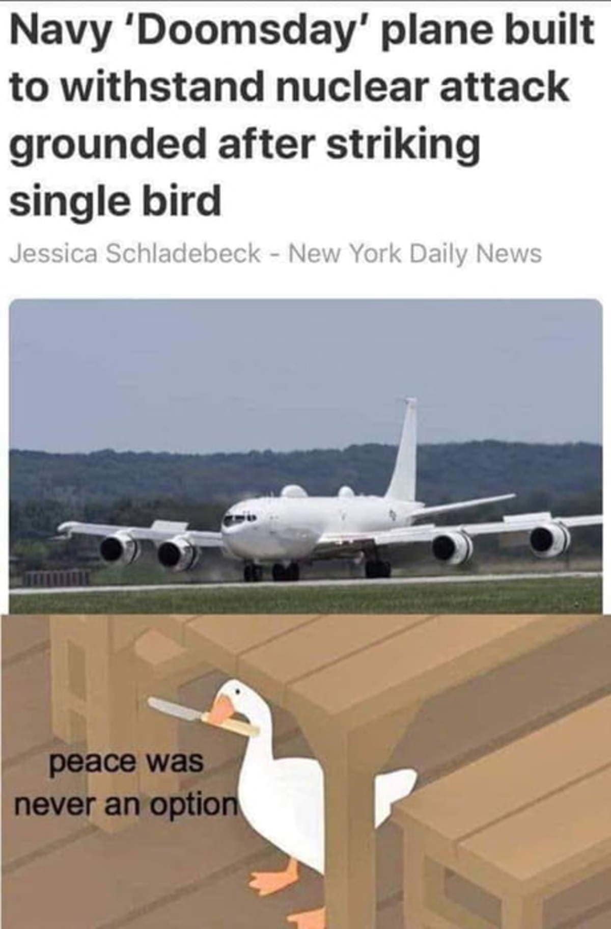 Navy 'Doomsday' plane built to withstand nuclear attack grounded after striking single bird